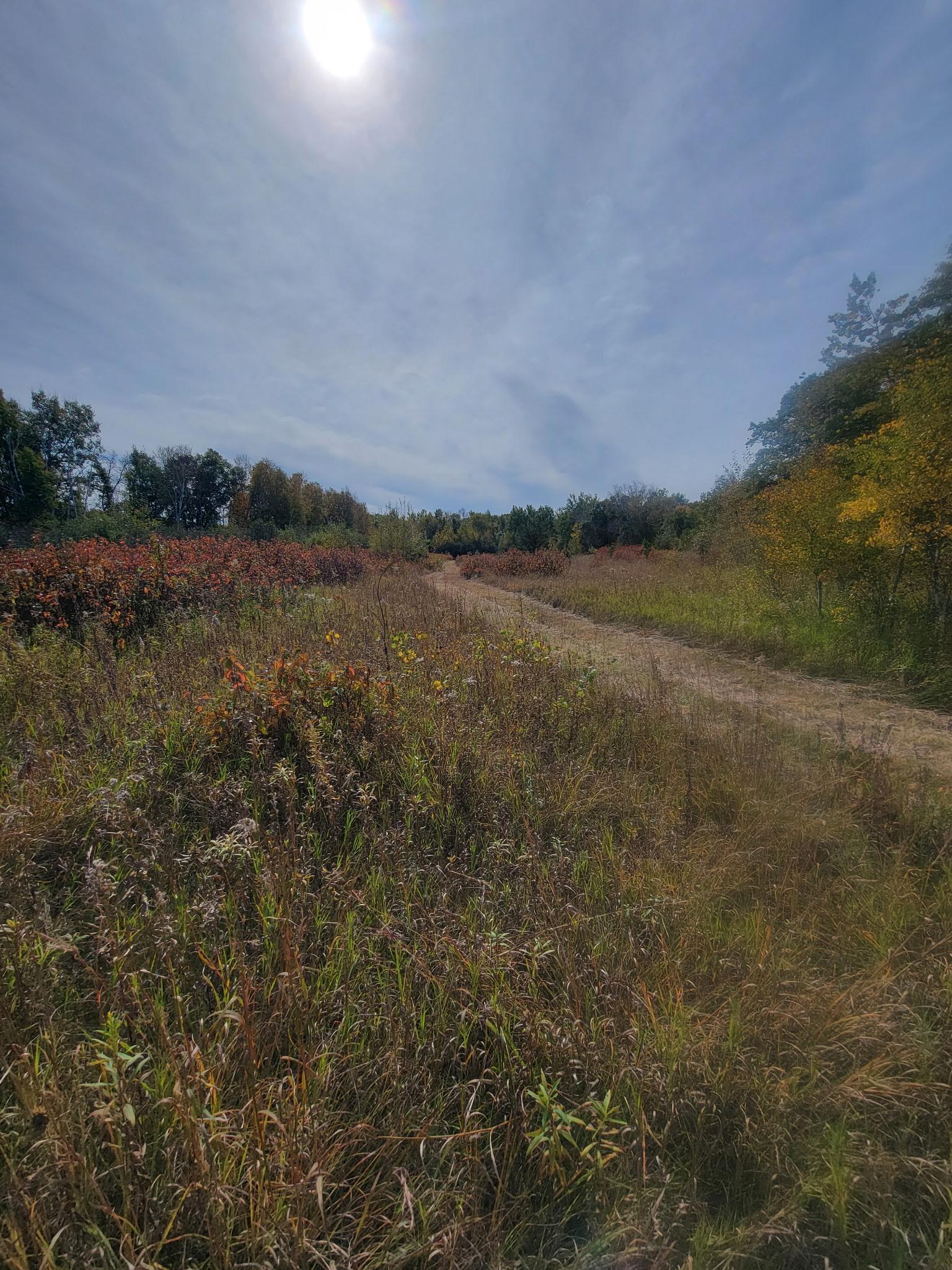 25820 County Road 26 Sebeka, MN 56477 - Photo 80 of 103