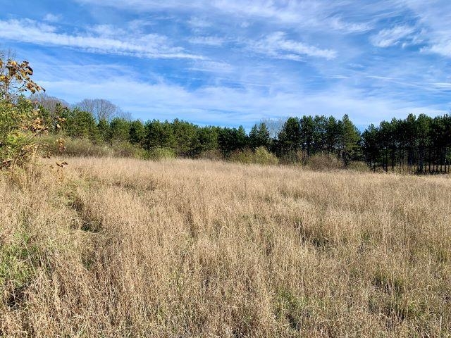 Tbd Lone Tree Road Traverse City, MI 49685 - Photo 19 of 22