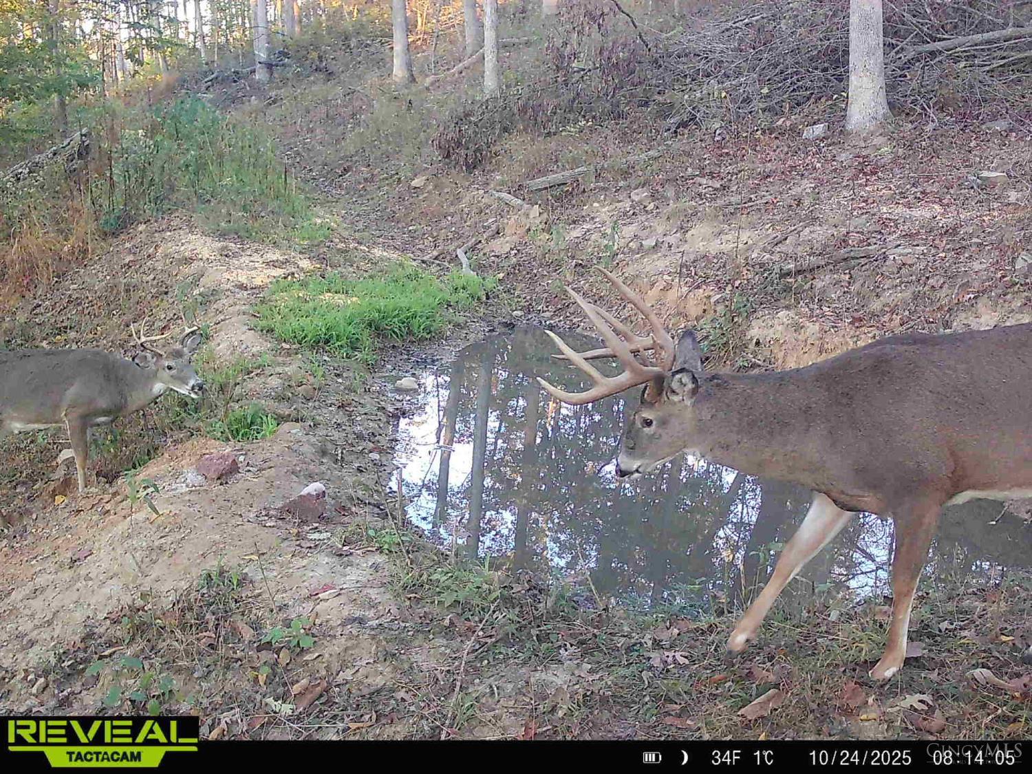 Ac Beech Fork Road Peebles, OH 45660 - Photo 28 of 49