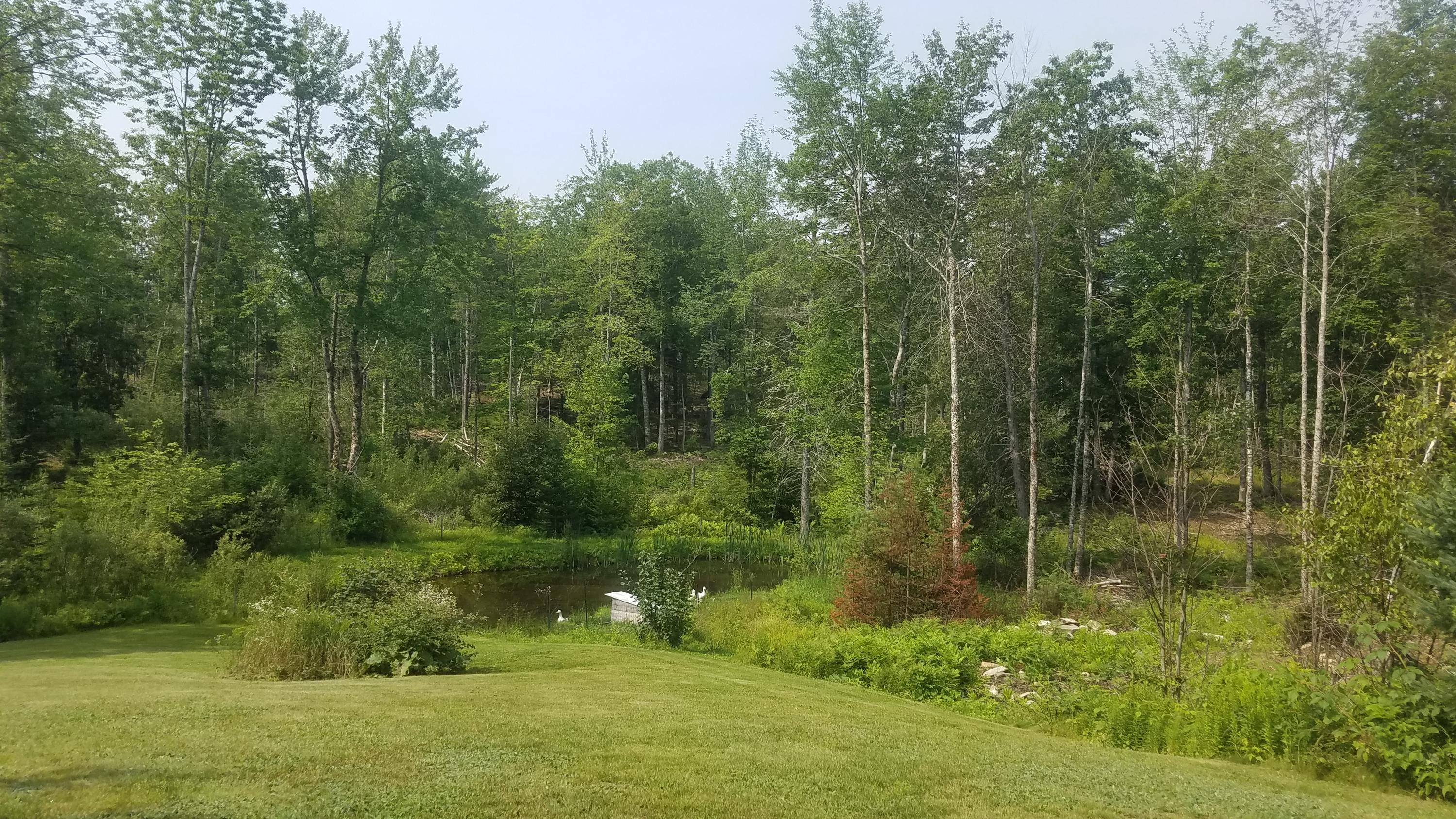 755 Peabody Road Appleton, ME 04862 - Photo 17 of 84 20210727_101346