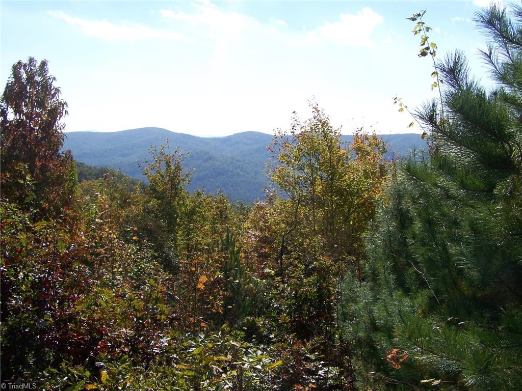 44 Mountain Lion Road Purlear, NC 28665 - Photo 1 of 6