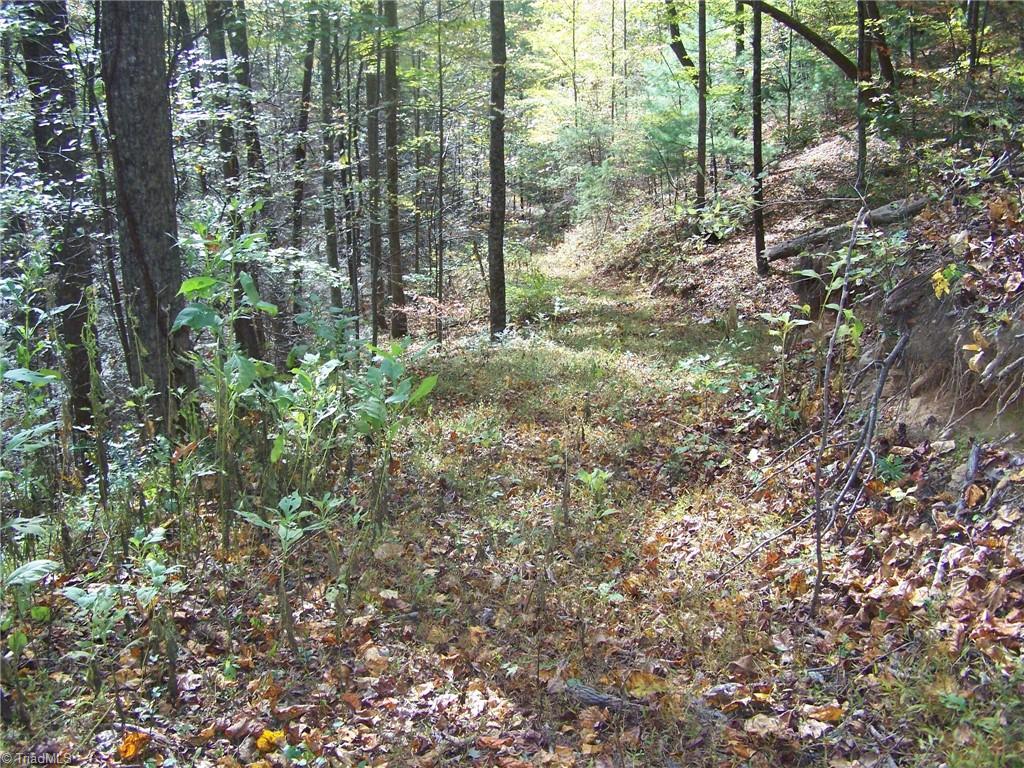 44 Mountain Lion Road Purlear, NC 28665 - Photo 2 of 6