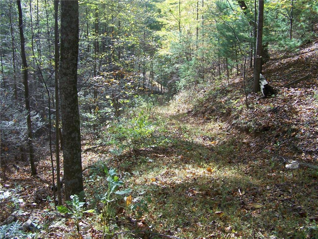 44 Mountain Lion Road Purlear, NC 28665 - Photo 4 of 6