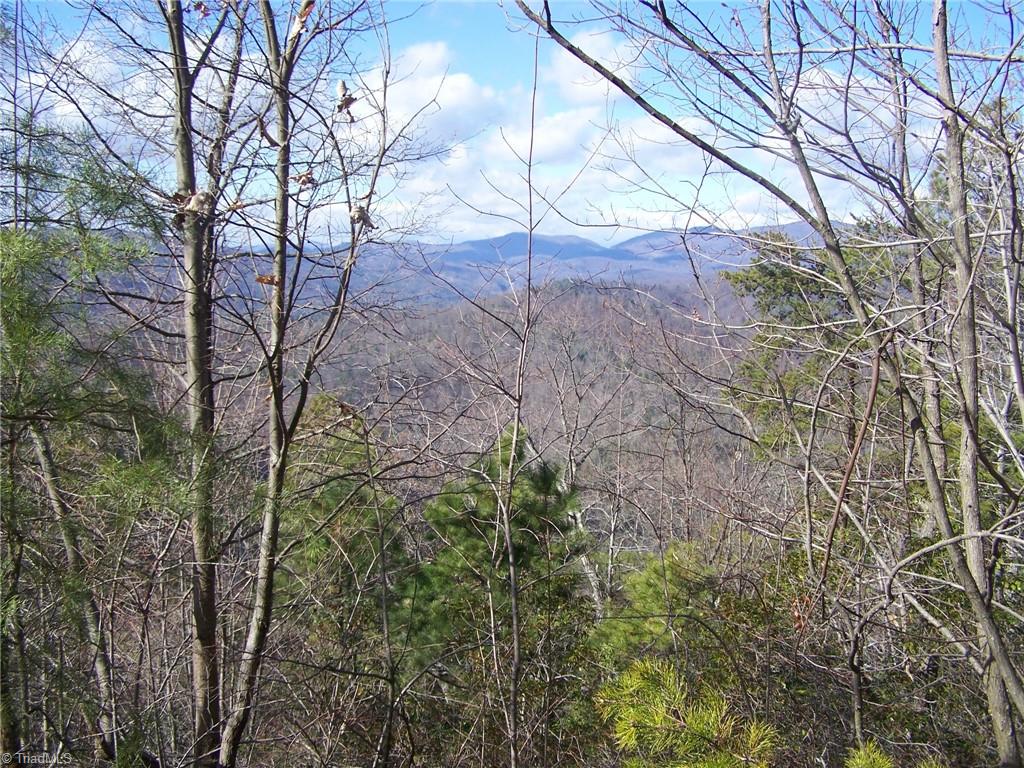 44 Mountain Lion Road Purlear, NC 28665 - Photo 5 of 6