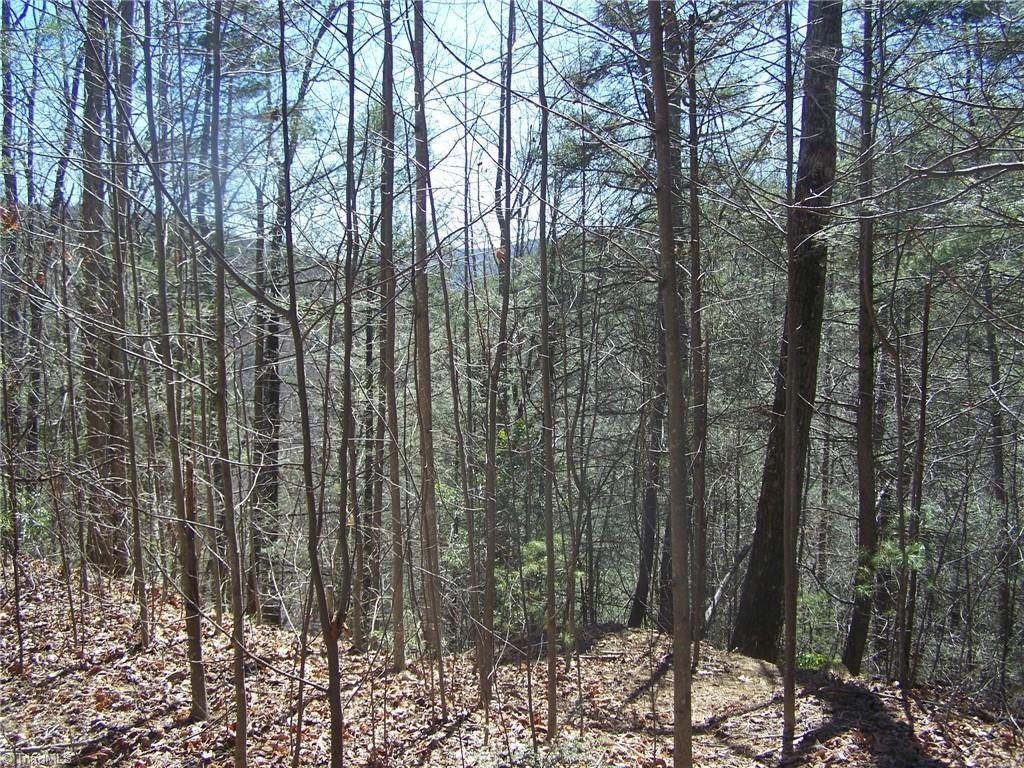 44 Mountain Lion Road Purlear, NC 28665 - Photo 6 of 6