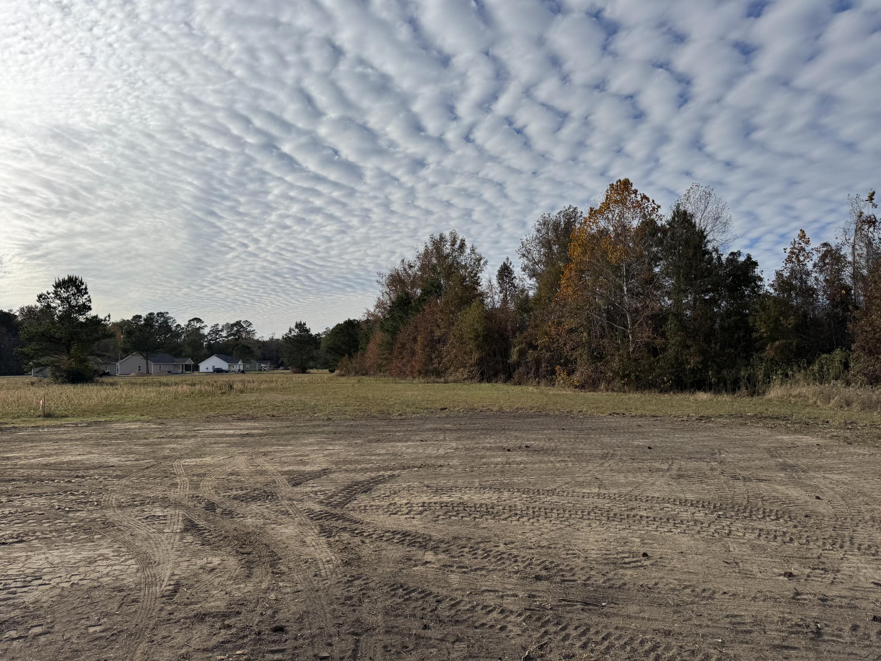 938 Weeks Lane Round O, SC 29474 - Photo 6 of 21 Backyard