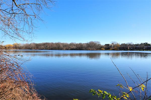 65 Oliver Road Belmont, MA 02478 - Photo 28 of 29 Gallery Image 28