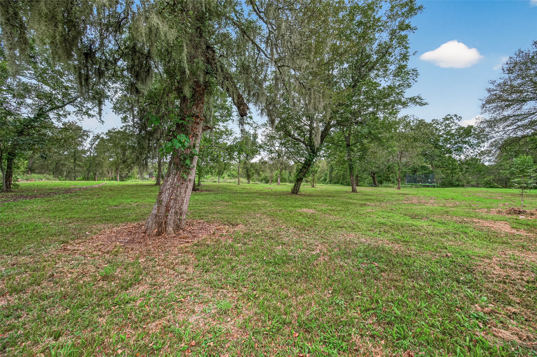 14720 Padre Court Road Needville, TX 77461 - Photo 46 of 50 Gallery Image 46