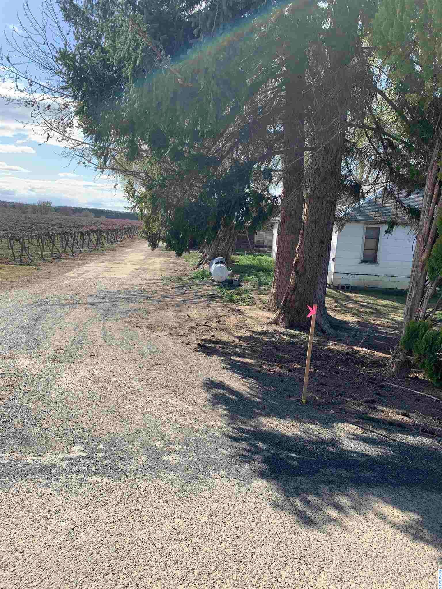 Tbd Lower County Line Road Prosser, WA 99350 - Photo 5 of 8 Gallery Image 5