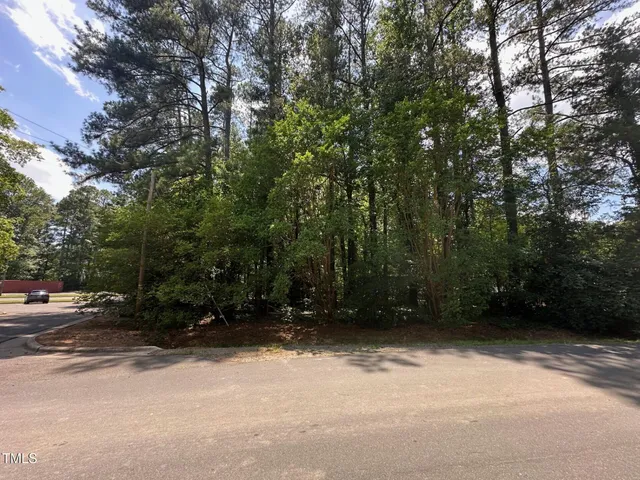 a view of outdoor space and yard