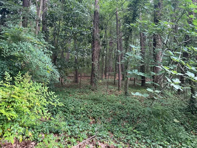 a view of outdoor space and green space