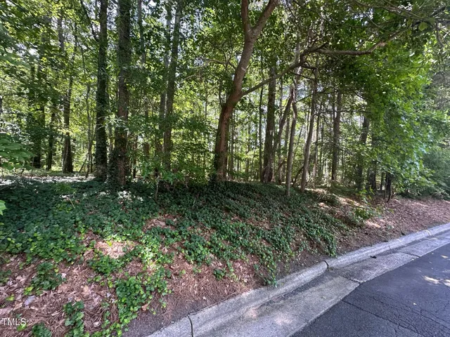 a view of outdoor space and garden