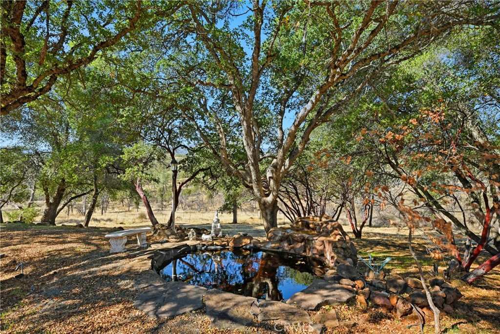 16261 Conestoga Road Hidden Valley Lake, CA 95467 - Photo 54 of 64