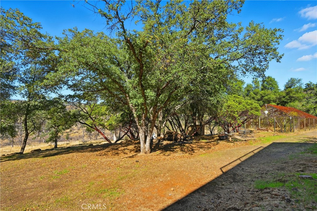 16261 Conestoga Road Hidden Valley Lake, CA 95467 - Photo 56 of 64