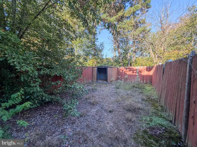 a view of a yard with plants and a tree