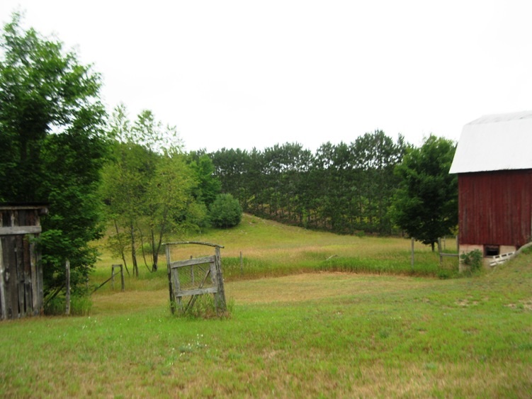 8676 Mockerman Road Southeast Fife Lake, MI 49633 - Photo 11 of 65 1821812-10.JPG