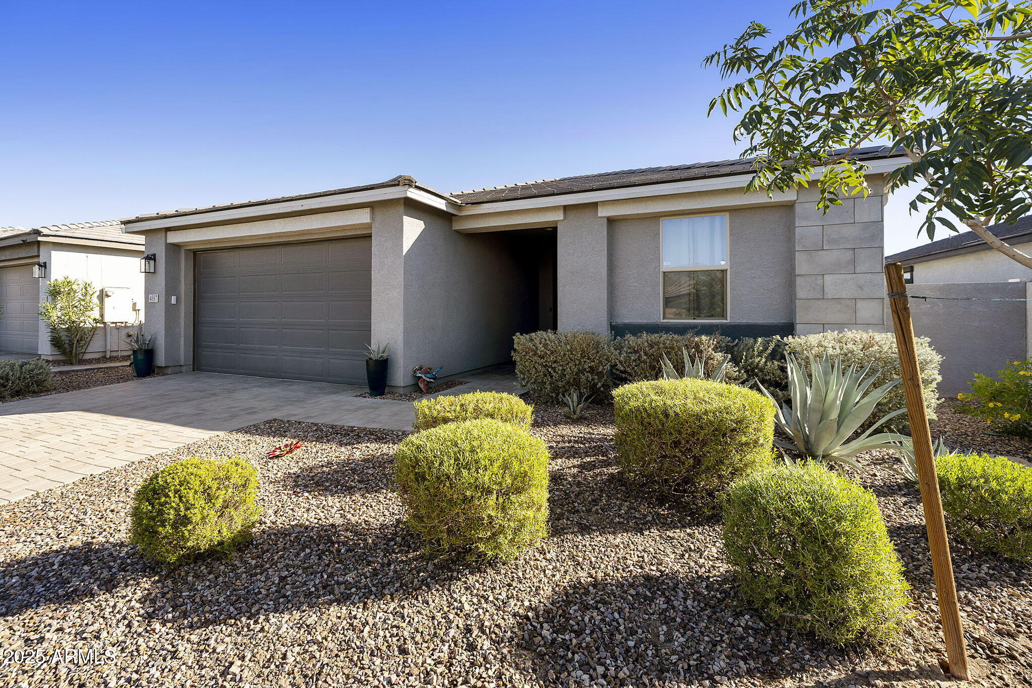 4557 South Element Mesa, AZ 85212 - Photo 7 of 34 a view of backyard with large trees and plants