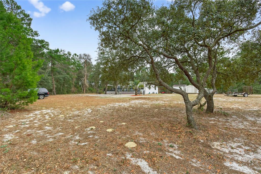 117 Stoddard Road Crescent City, FL 32112 - Photo 72 of 83