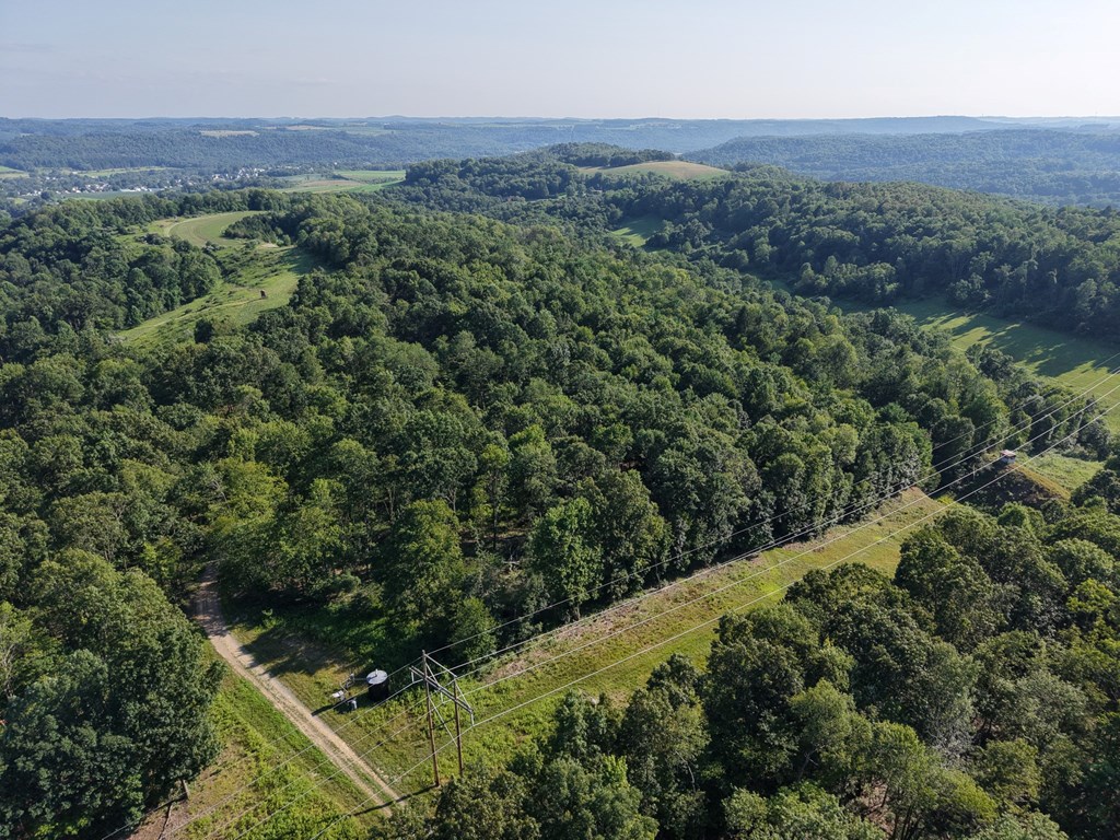 0 Truittsburgh Road Hawthorn, PA 16230 - Photo 17 of 23