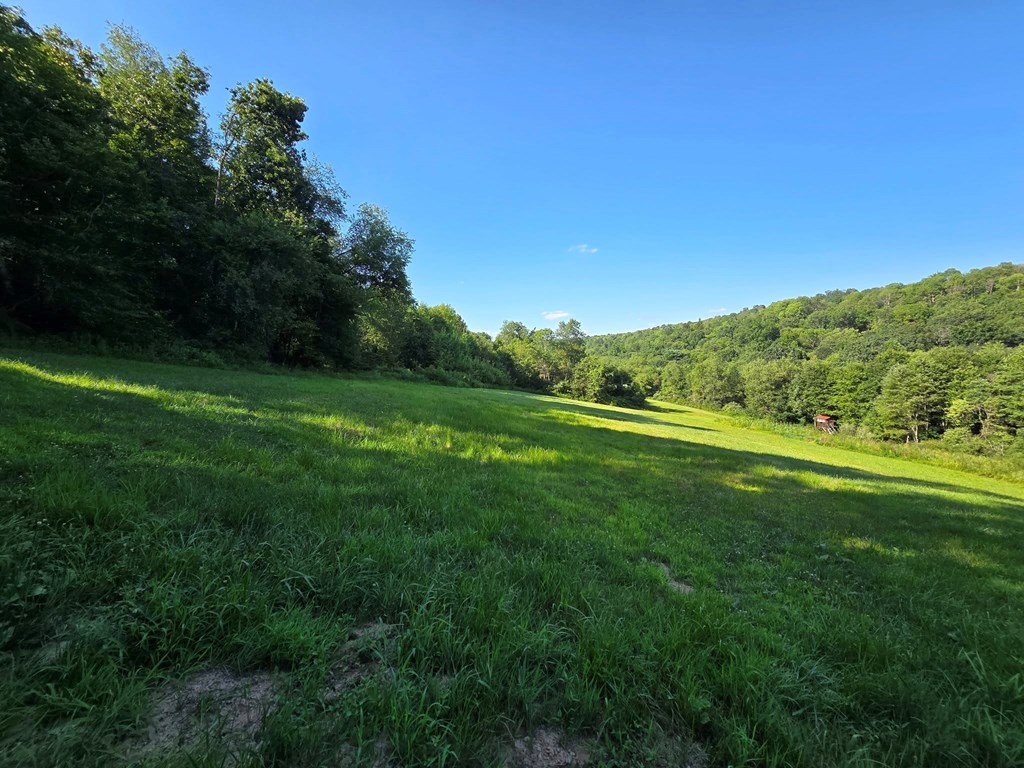 0 Truittsburgh Road Hawthorn, PA 16230 - Photo 2 of 23