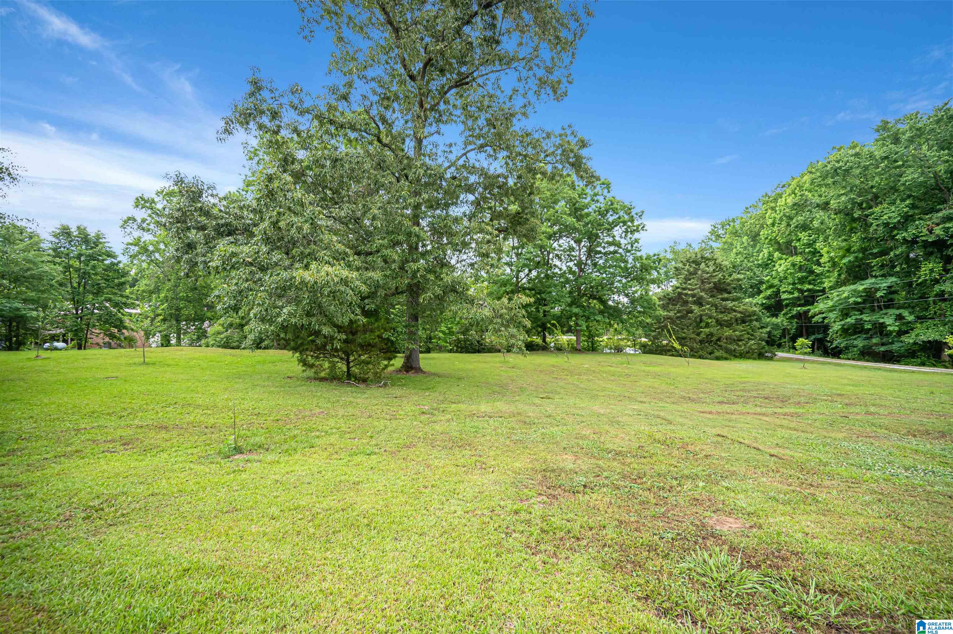 3869 Highway 155 Montevallo, AL 35115 - Photo 46 of 66