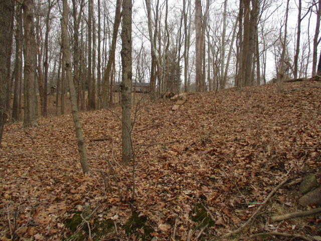 1-acre Johns Road Butler, KY 41006 - Photo 2 of 6 Gallery Image 2