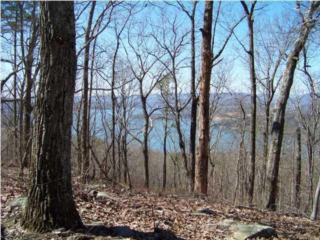 Lot 12 North Bluffs Road, Unit LOT 12 Guild, TN 37340 - Photo 1 of 22 20150202181412969642000000-o