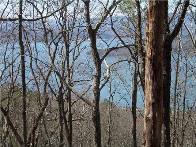 Lot 12 North Bluffs Road, Unit LOT 12 Guild, TN 37340 - Photo 2 of 22 20150202181413253474000000-o