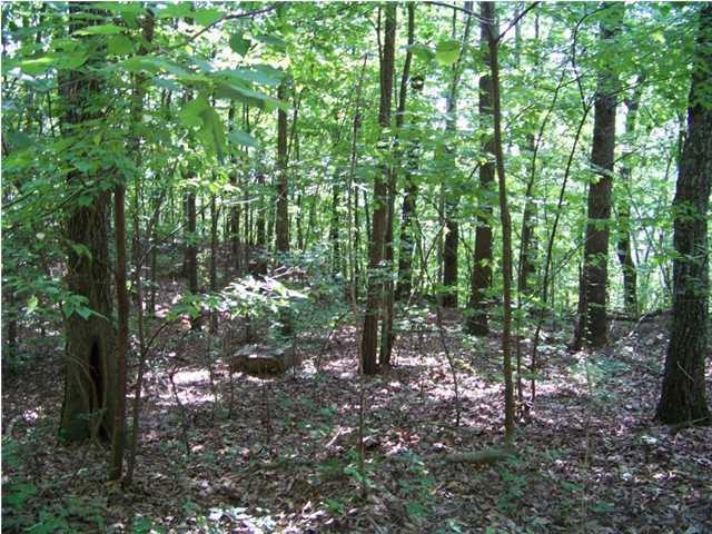 Lot 12 North Bluffs Road, Unit LOT 12 Guild, TN 37340 - Photo 12 of 22 20150202181413523029000000-o