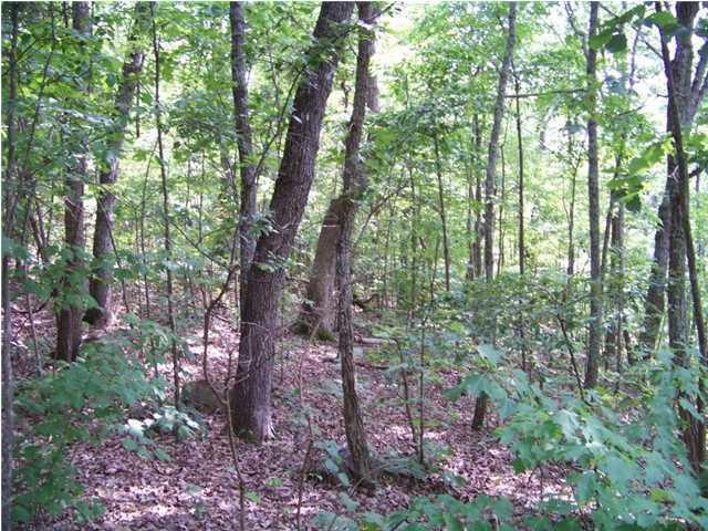 Lot 12 North Bluffs Road, Unit LOT 12 Guild, TN 37340 - Photo 14 of 22 20150202181414103549000000-o