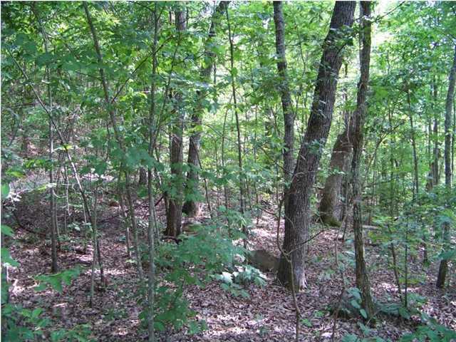 Lot 12 North Bluffs Road, Unit LOT 12 Guild, TN 37340 - Photo 15 of 22 20150202181414402589000000-o