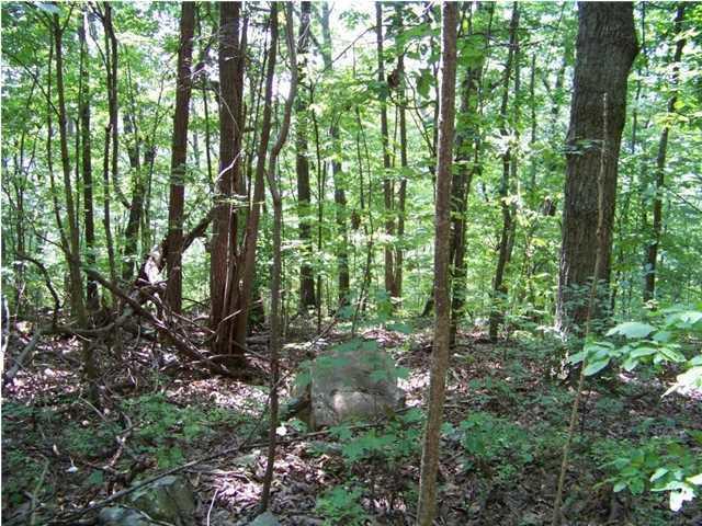 Lot 12 North Bluffs Road, Unit LOT 12 Guild, TN 37340 - Photo 16 of 22 20150202181414671959000000-o