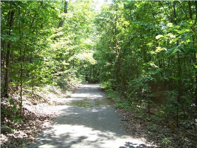 Lot 12 North Bluffs Road, Unit LOT 12 Guild, TN 37340 - Photo 17 of 22 20150202181415098488000000-o