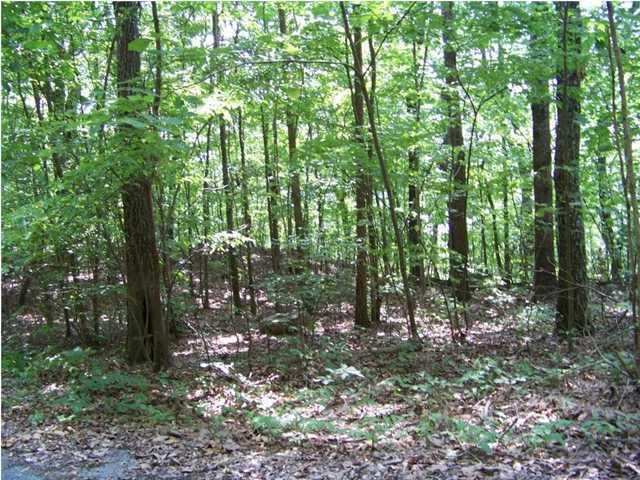 Lot 12 North Bluffs Road, Unit LOT 12 Guild, TN 37340 - Photo 19 of 22 20150202181415696765000000-o