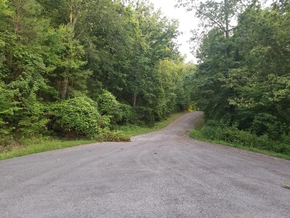 Lot 12 North Bluffs Road, Unit LOT 12 Guild, TN 37340 - Photo 20 of 22 20180604_201041_resized-2