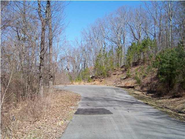 Lot 12 North Bluffs Road, Unit LOT 12 Guild, TN 37340 - Photo 21 of 22 20150202181416240288000000-o