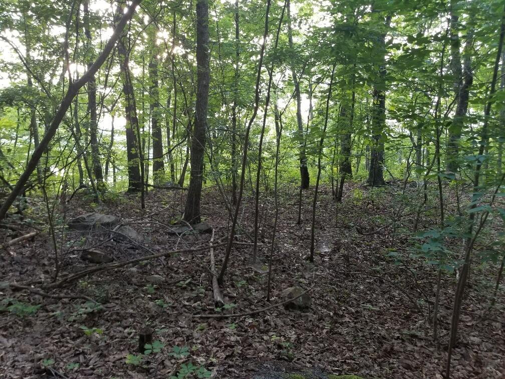 Lot 12 North Bluffs Road, Unit LOT 12 Guild, TN 37340 - Photo 4 of 22 20180604_195420_resized-1