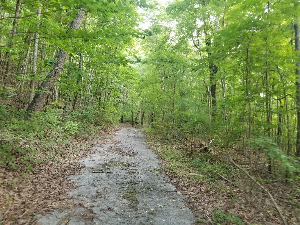 Lot 12 North Bluffs Road, Unit LOT 12 Guild, TN 37340 - Photo 7 of 22 20180604_195451_resized