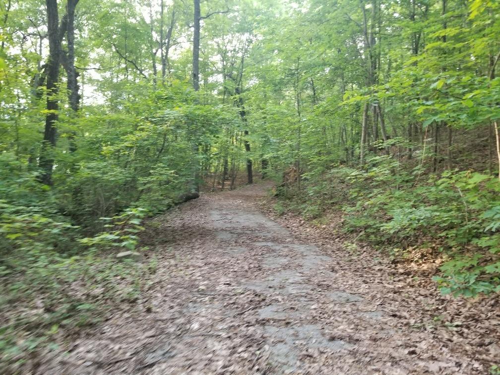 Lot 12 North Bluffs Road, Unit LOT 12 Guild, TN 37340 - Photo 9 of 22 20180604_195635_resized