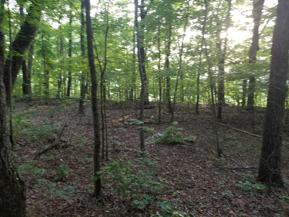 Lot 12 North Bluffs Road, Unit LOT 12 Guild, TN 37340 - Photo 10 of 22 20180604_195657_resized-1