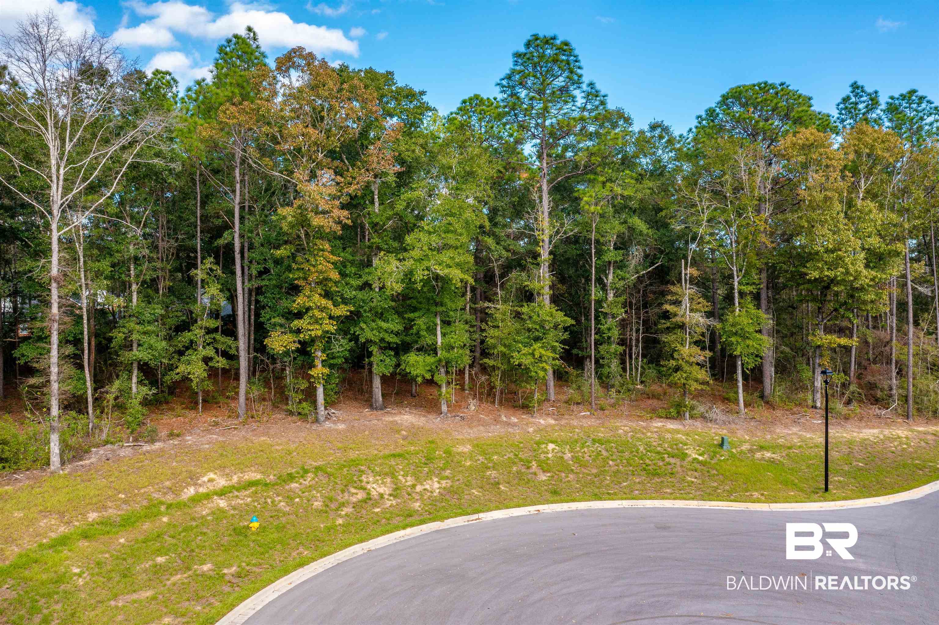 0 Wynngate Way Mobile, AL 36695 - Photo 8 of 21