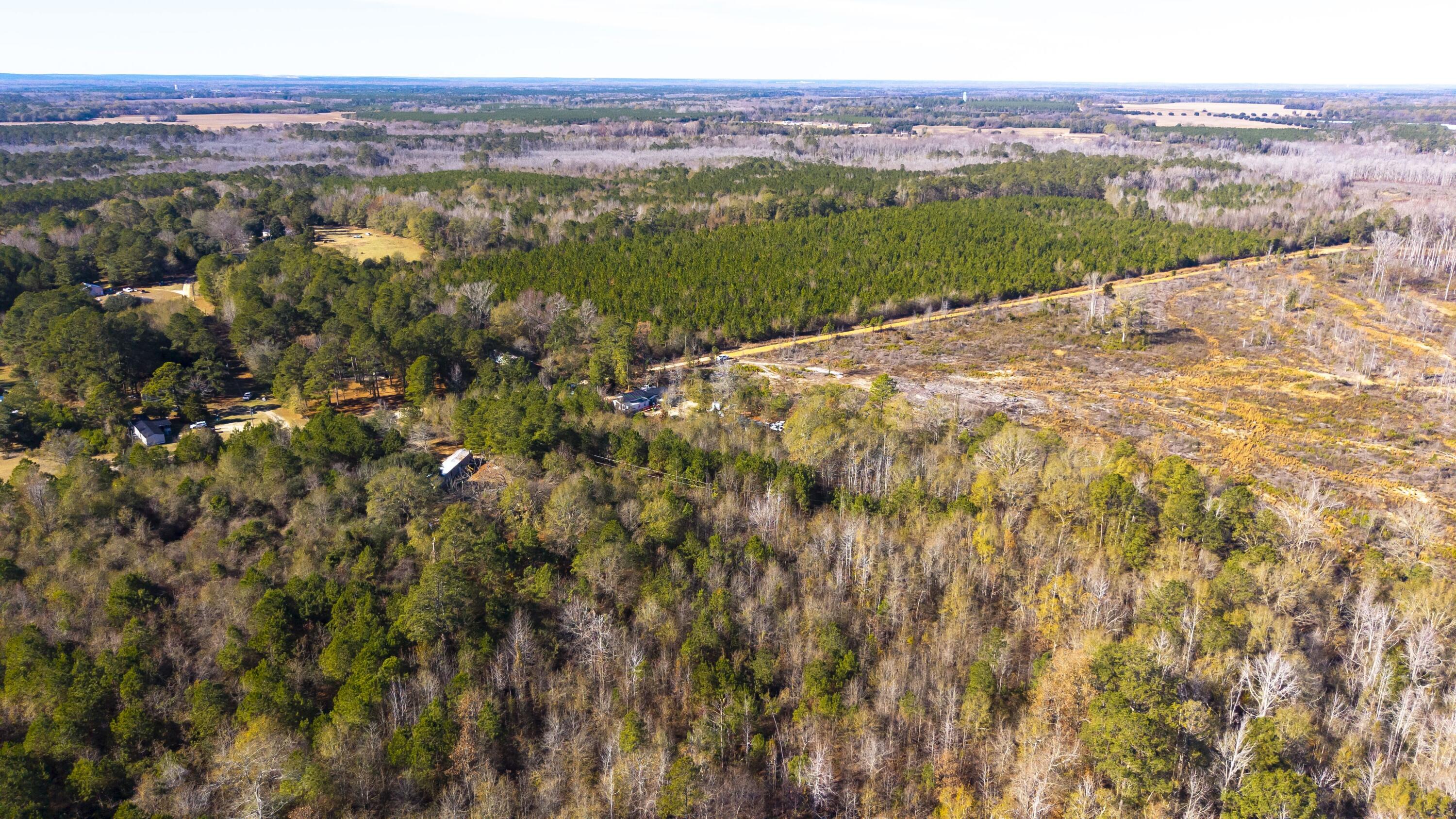 5485 Mayrant Road Rembert, SC 29128 - Photo 14 of 21 Gallery Image 14