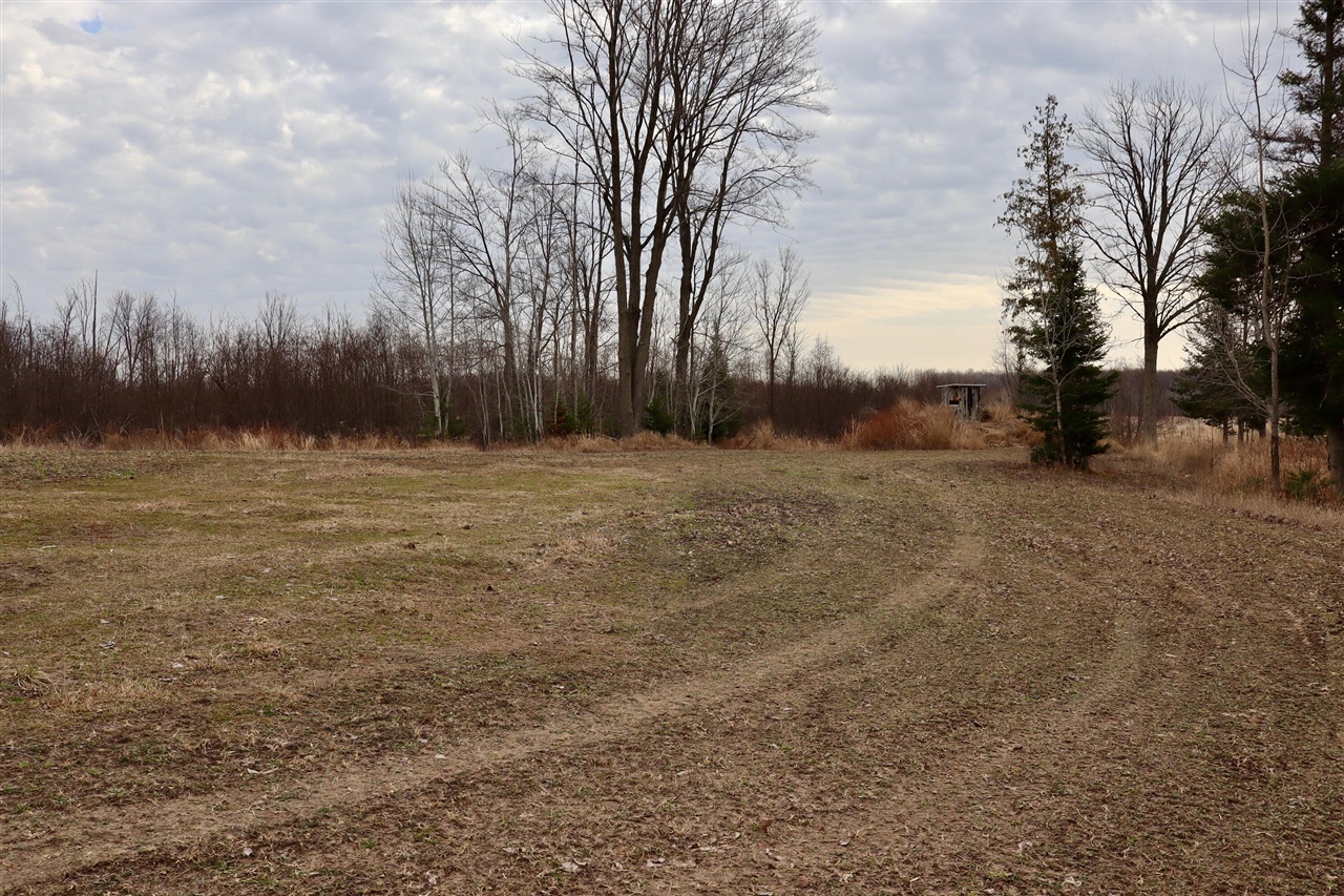 11048 Wilson Road Lake City, MI 49651 - Photo 76 of 89 Gallery Image 76