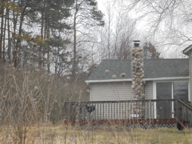 7560 North Johnson Road Belding, MI 48809 - Photo 3 of 3 DSC01085