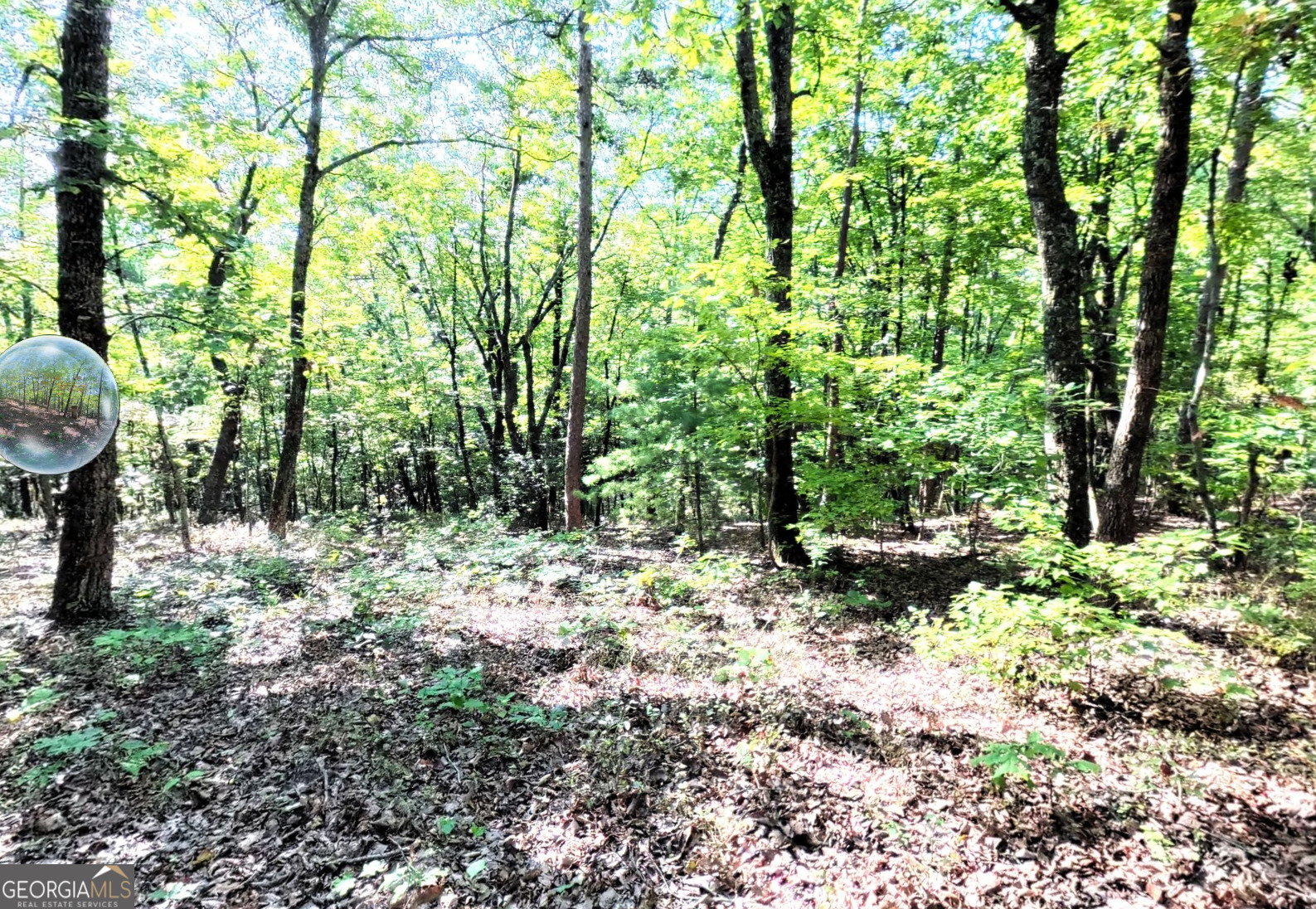 802 Rock Mountain Road Lakemont, GA 30552 - Photo 7 of 9