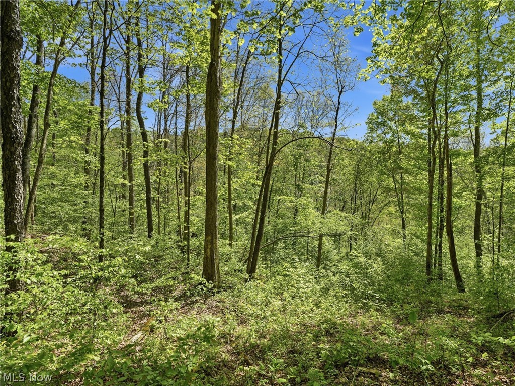 0 Pratts Run Road Woodsfield, OH 43793 - Photo 16 of 24