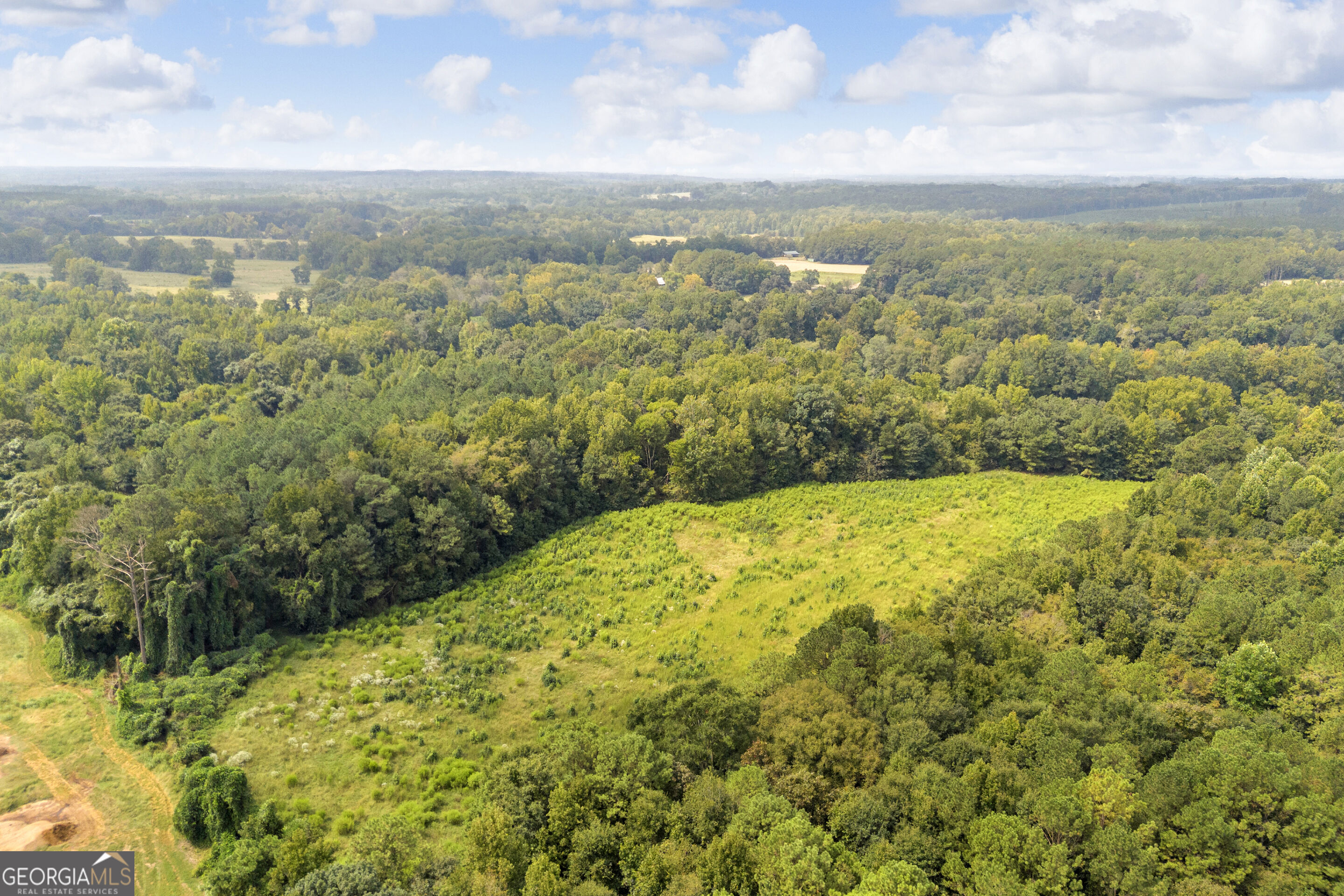0 Wesley Chapel Road Greensboro, GA 30642 - Photo 45 of 57 Gallery Image 45