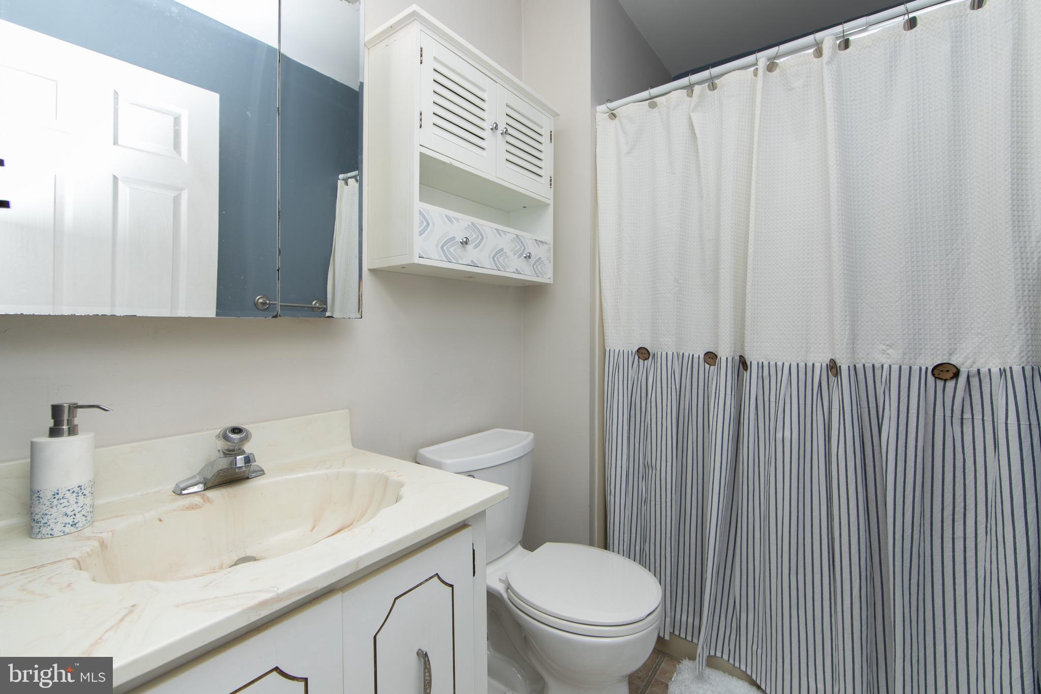 123 Birchfield Court Mount Laurel, NJ 08054 - Photo 20 of 32 a bathroom with a sink a toilet and shower curtain