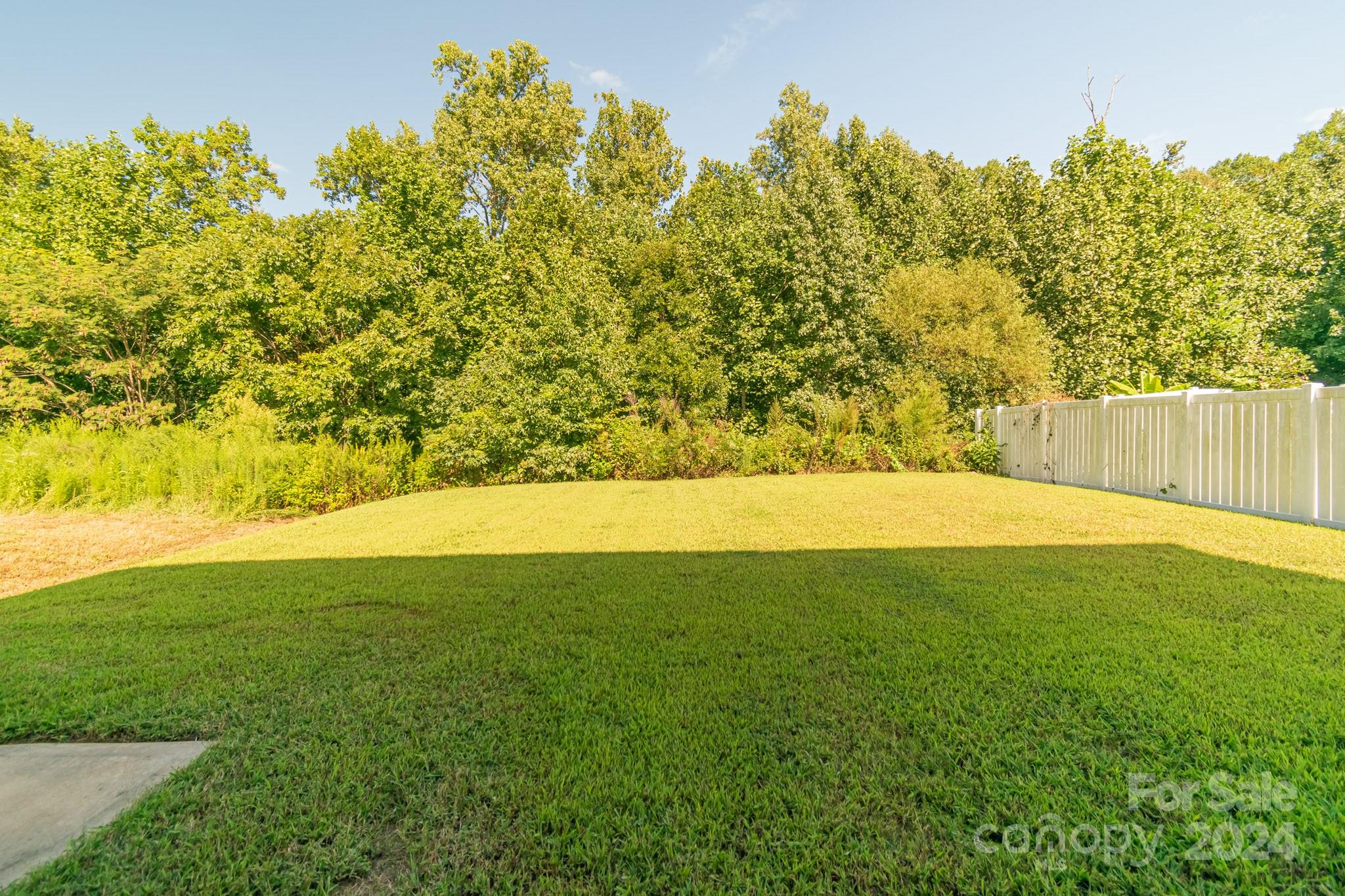 8715 Balsam Bay Road Charlotte, NC 28227 - Photo 22 of 29 a view of yard with swimming pool and green space