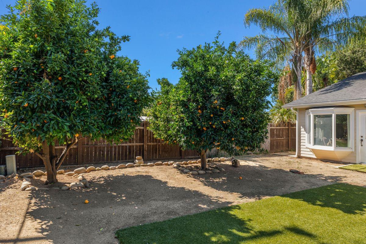 2230 South Rice Road Ojai, CA 93023 - Photo 26 of 26 a backyard of a house with lots of green space